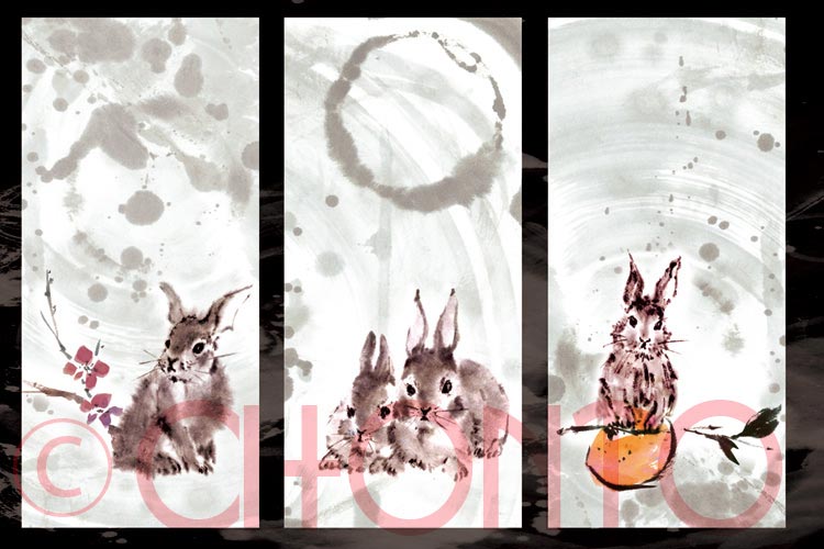 Rabbit3